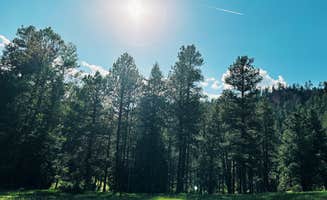 Nora S.'s photo of a dispersed camping area at Road 378, Fenton Lake - Dispersed in New Mexico