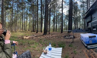 Camping near McDill Point Intersection — Cheaha State Park: Sky Mtwy Dispersed, Heflin, Alabama