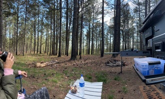 Camping near Hollins Hunting Camp: Sky Mtwy Dispersed, Heflin, Alabama