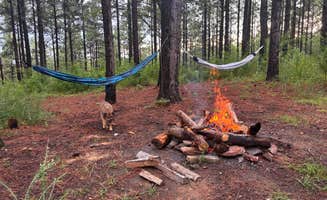 Zoey T.'s photo of camping with pets at Sky Mtwy Dispersed near Jacksonville, AL