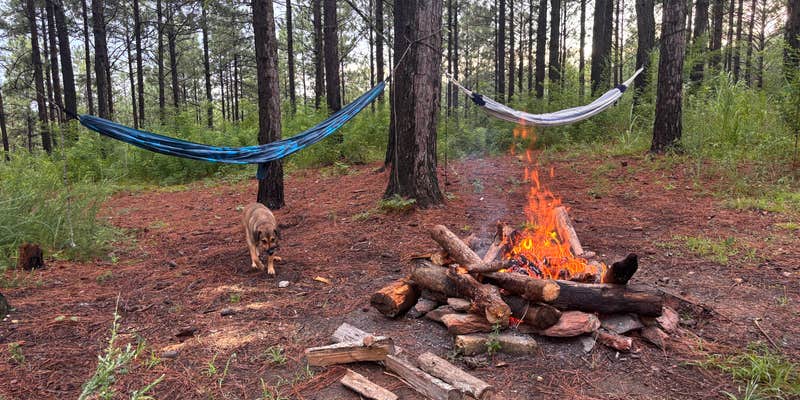 Camper submitted image from Sky Mtwy Dispersed