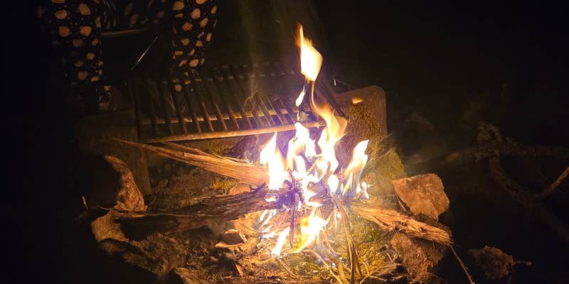 Camper submitted image from Dispersed Camping off FS 542