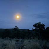 Review photo of Dispersed Camping off FS 542 by M K., April 1, 2026