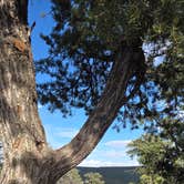 Review photo of Dispersed Camping off FS 542 by Pamela L., June 2, 2026
