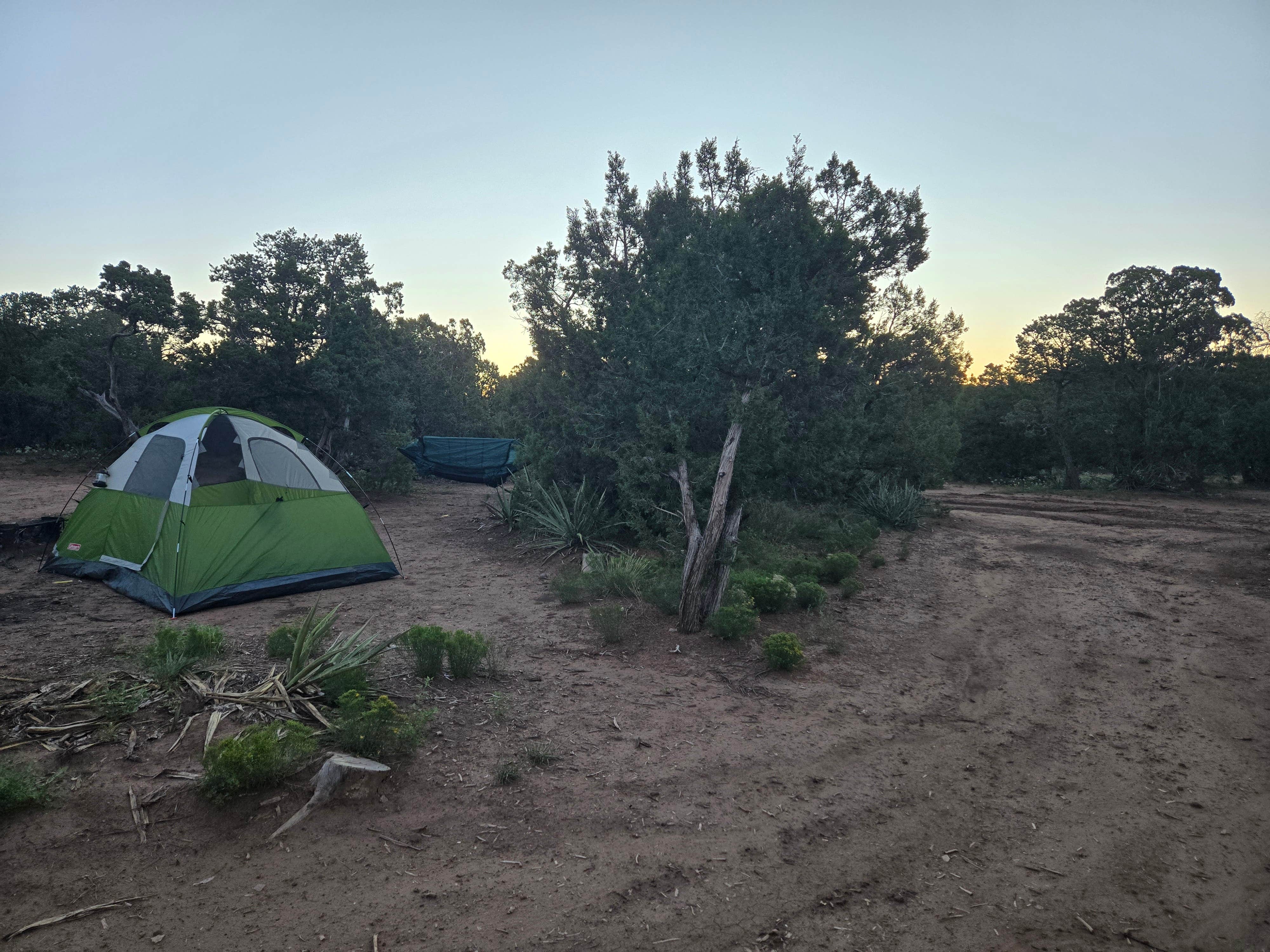 Dispersed Camping off FS 542