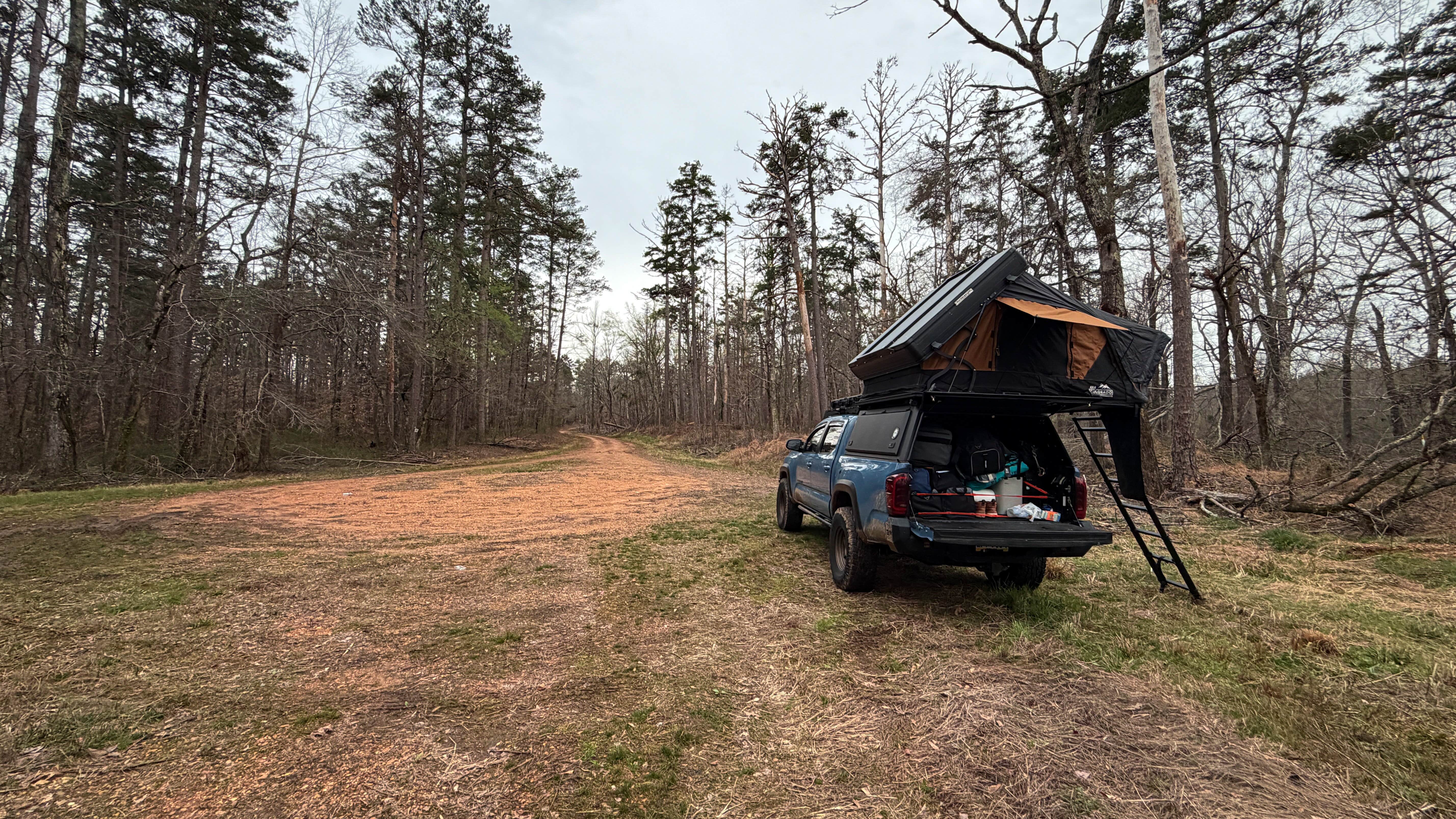 Camping near Cox Lake: Dispersed Camp Site #MSL-02, Potts Camp, Mississippi