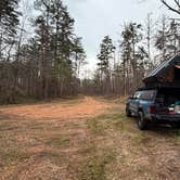 Review photo of Dispersed Camp Site #MSL-02 by Brandon W., March 11, 2026