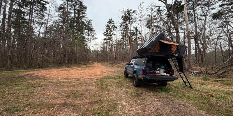 Camper submitted image from Dispersed Camp Site #MSL-02