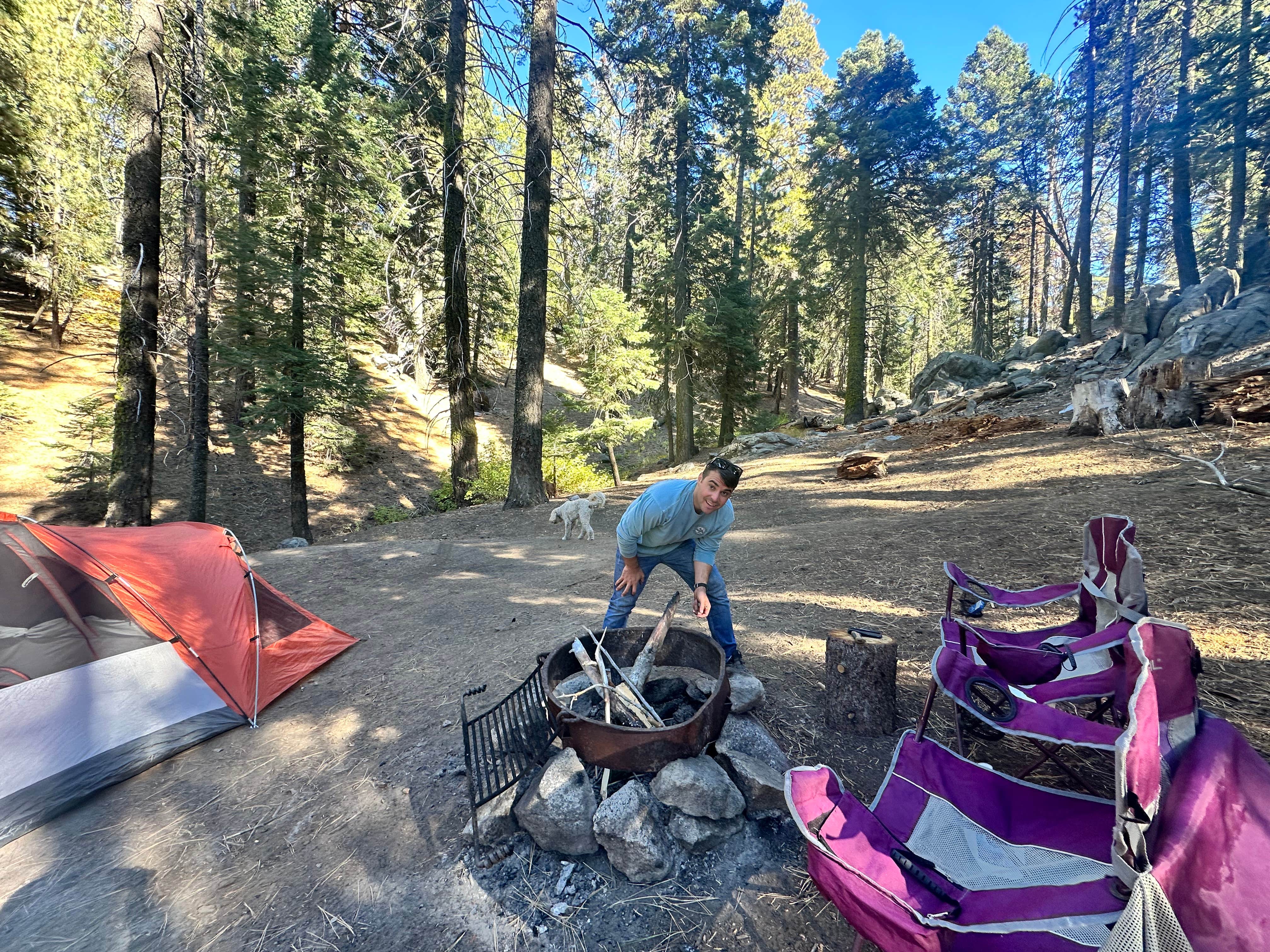 Vanessa C.'s photo of camping with pets at Dispersed Camp near Sequoia National Park near Sunland, CA