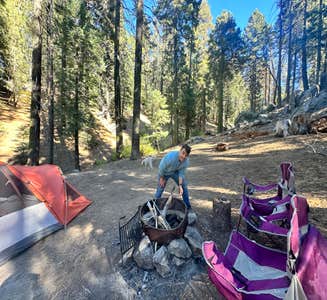 Camper-submitted photo from Dispersed Camp near Sequoia National Park