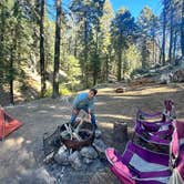 Review photo of Dispersed Camp near Sequoia National Park by Vanessa C., December 22, 2023