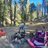 Review photo of Dispersed Camp near Sequoia National Park by Vanessa C., December 22, 2023