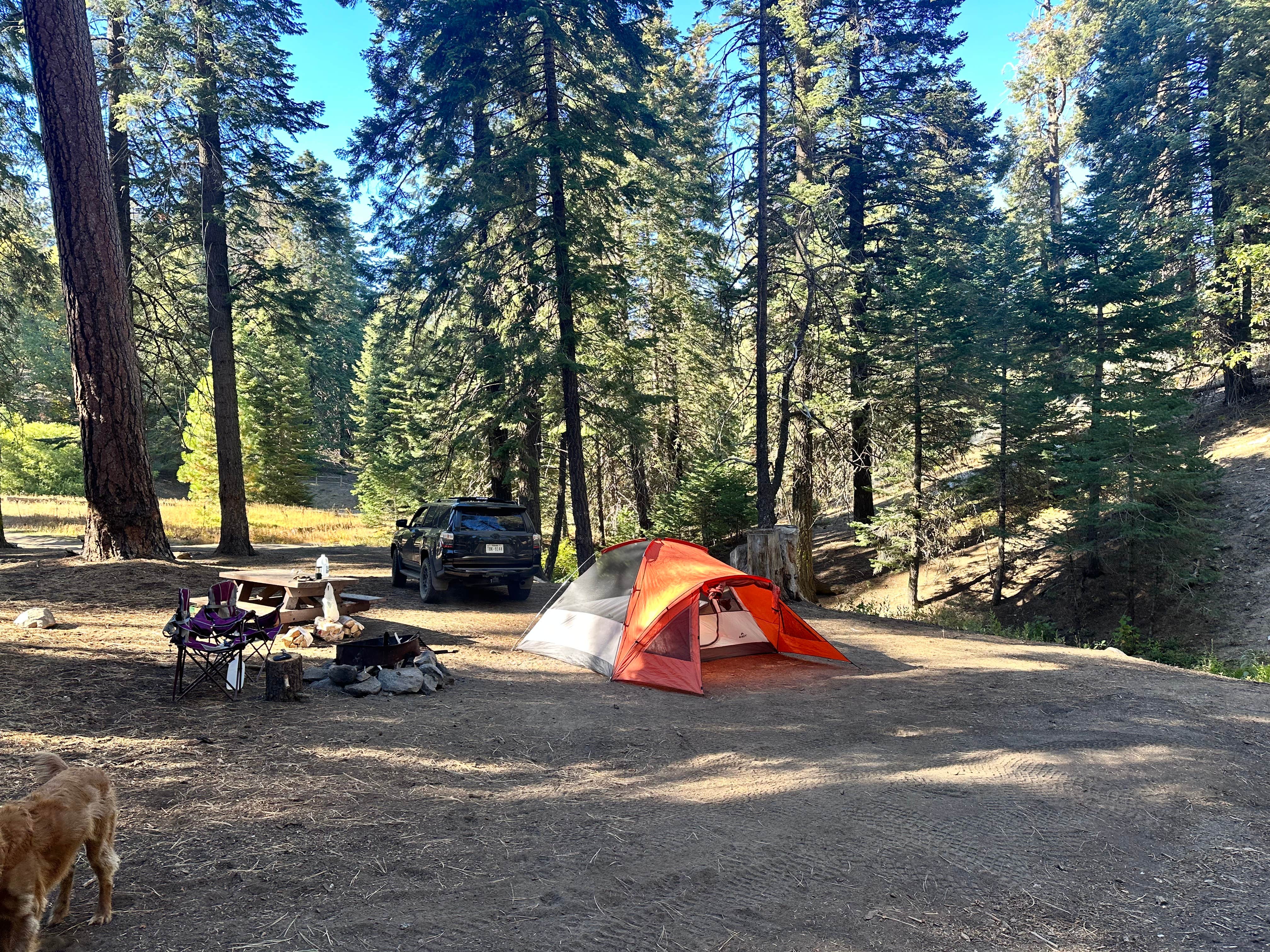 Camper-submitted photo at Dispersed Camp near Sequoia National Park near Sequoia National Forest