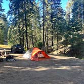 Review photo of Dispersed Camp near Sequoia National Park by Vanessa C., December 22, 2023