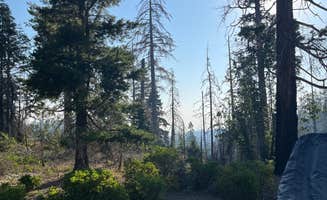 Bobby J.'s photo of tent camping at Dispersed Camp near Sequoia National Park near Weldon, CA