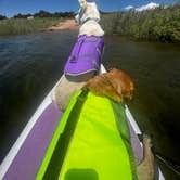 Review photo of Home Mountain Reservoir SWA - Dispersed Campsites by Linnell B., June 20, 2025