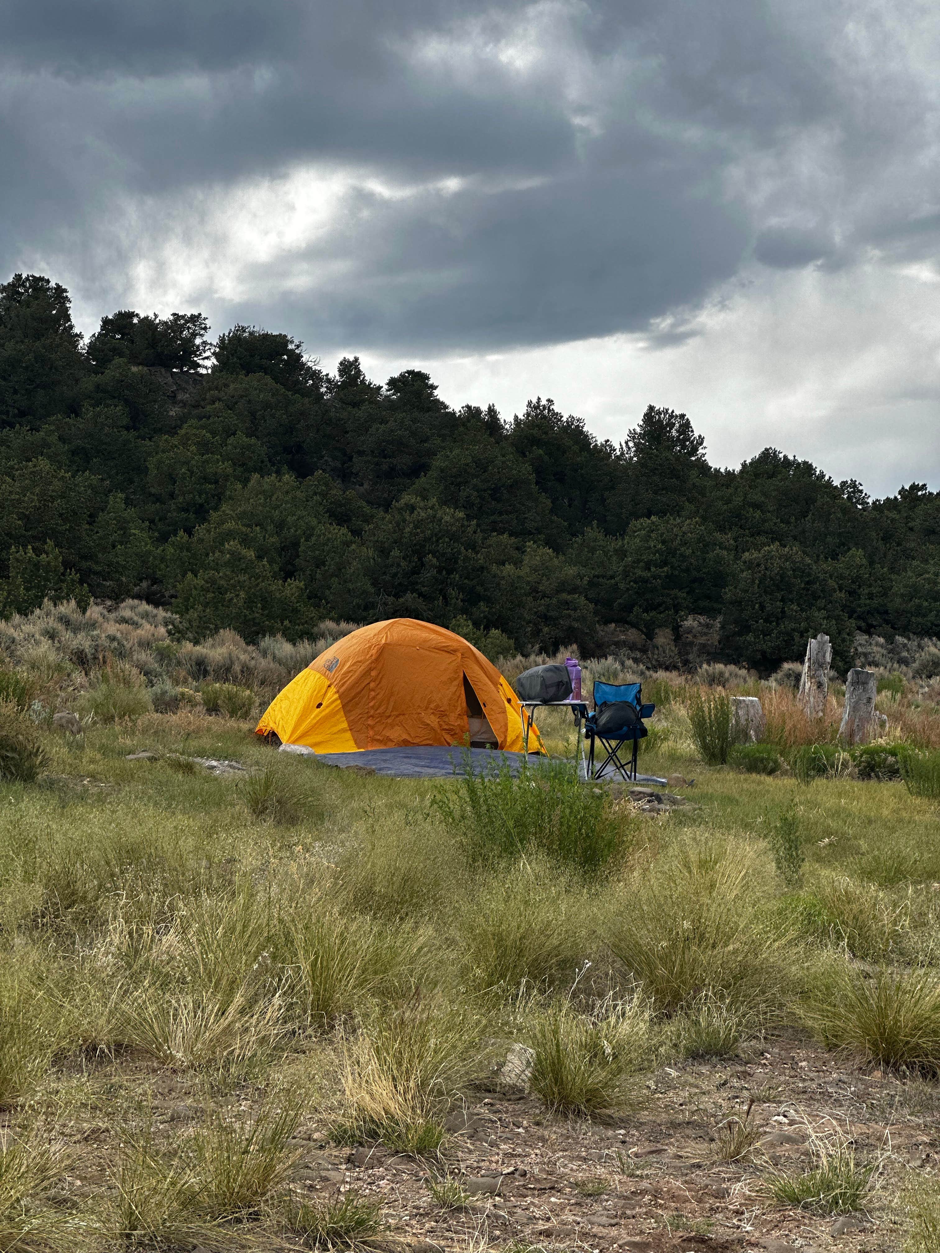Home Mountain Reservoir SWA - Dispersed Campsites
