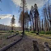 Review photo of Sequoia National Park Dispersed campground by Roger H., May 25, 2024