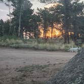 Review photo of Rampart Range Dispersed Site by Lynn , August 12, 2026