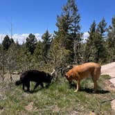 Review photo of Rampart Range Dispersed Site by Sabrina G., May 28, 2024