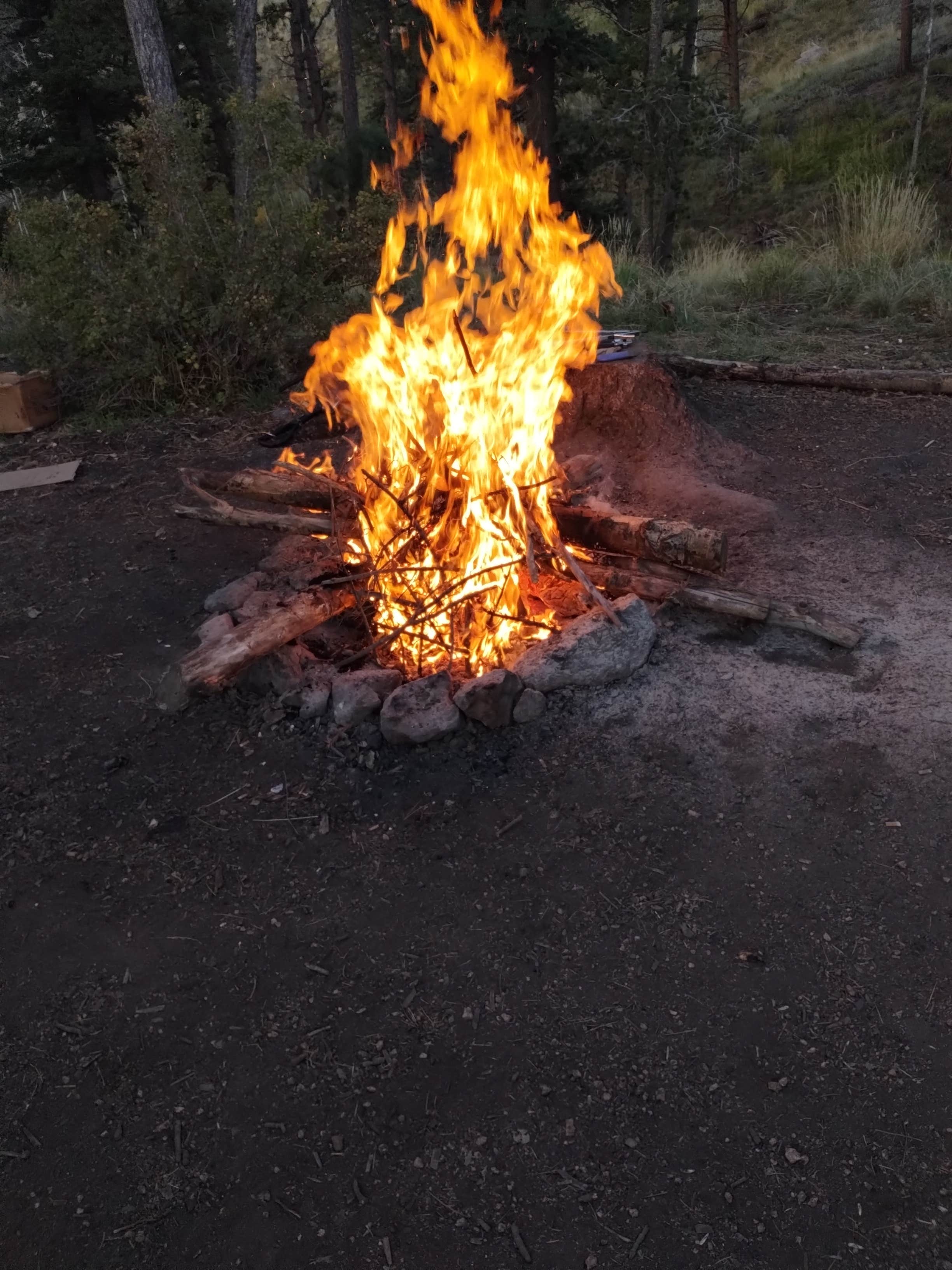 Camper-submitted photo at Rampart Range Dispersed Site near Manitou Springs, CO