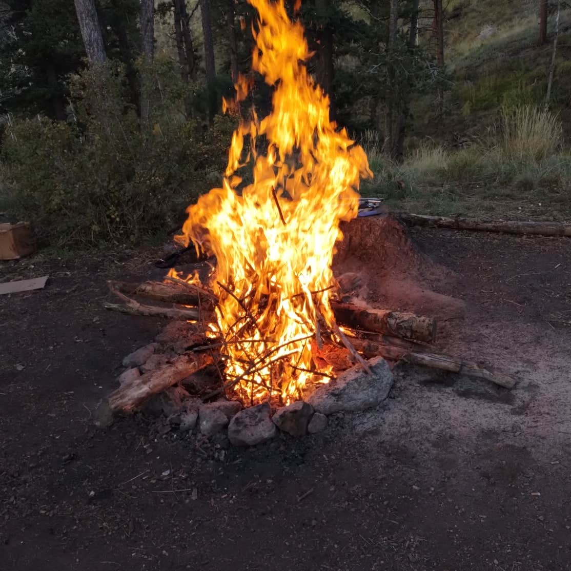 Rampart Range Dispersed Site Camping Green Mountain Falls, CO