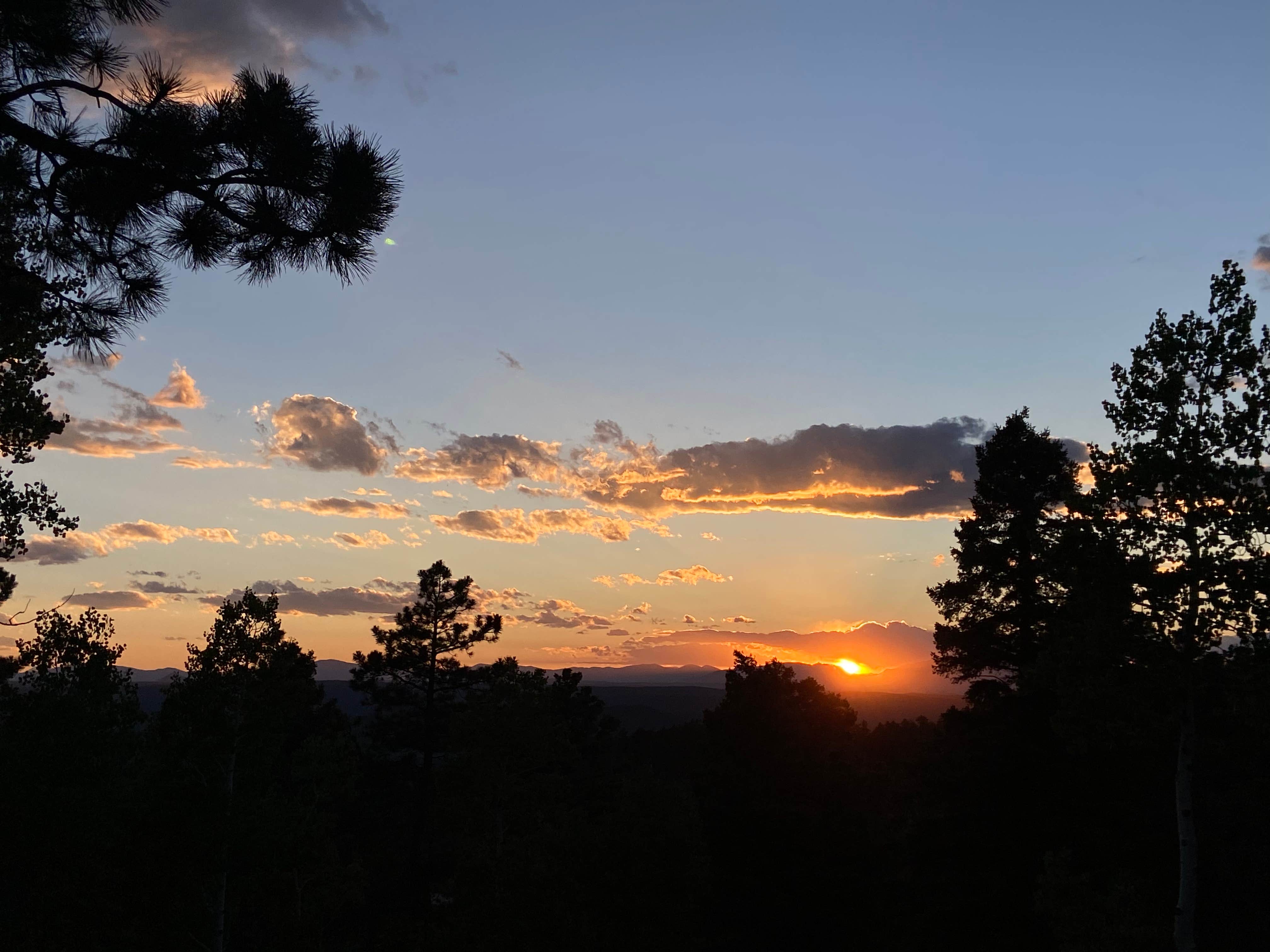 Kat F.'s photo of a dispersed camping area at Rampart Range Dispersed Site near Manitou Springs, CO