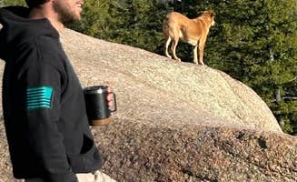 Sabrina G.'s photo of camping with pets at Rampart Range Dispersed Site near Green Mountain Falls, CO