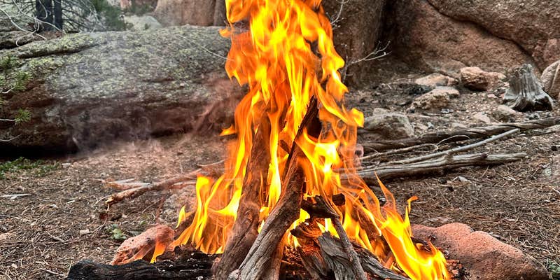 Camper submitted image from Rampart Range Dispersed Site