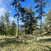 Review photo of Rampart Range Dispersed Site by Deitz B., September 11, 2024