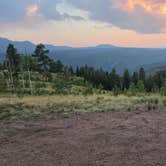 Review photo of Rampart Range Dispersed Site by Lynn , August 12, 2026