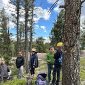 Review photo of Rampart Range Dispersed Site by Sabrina G., May 28, 2024