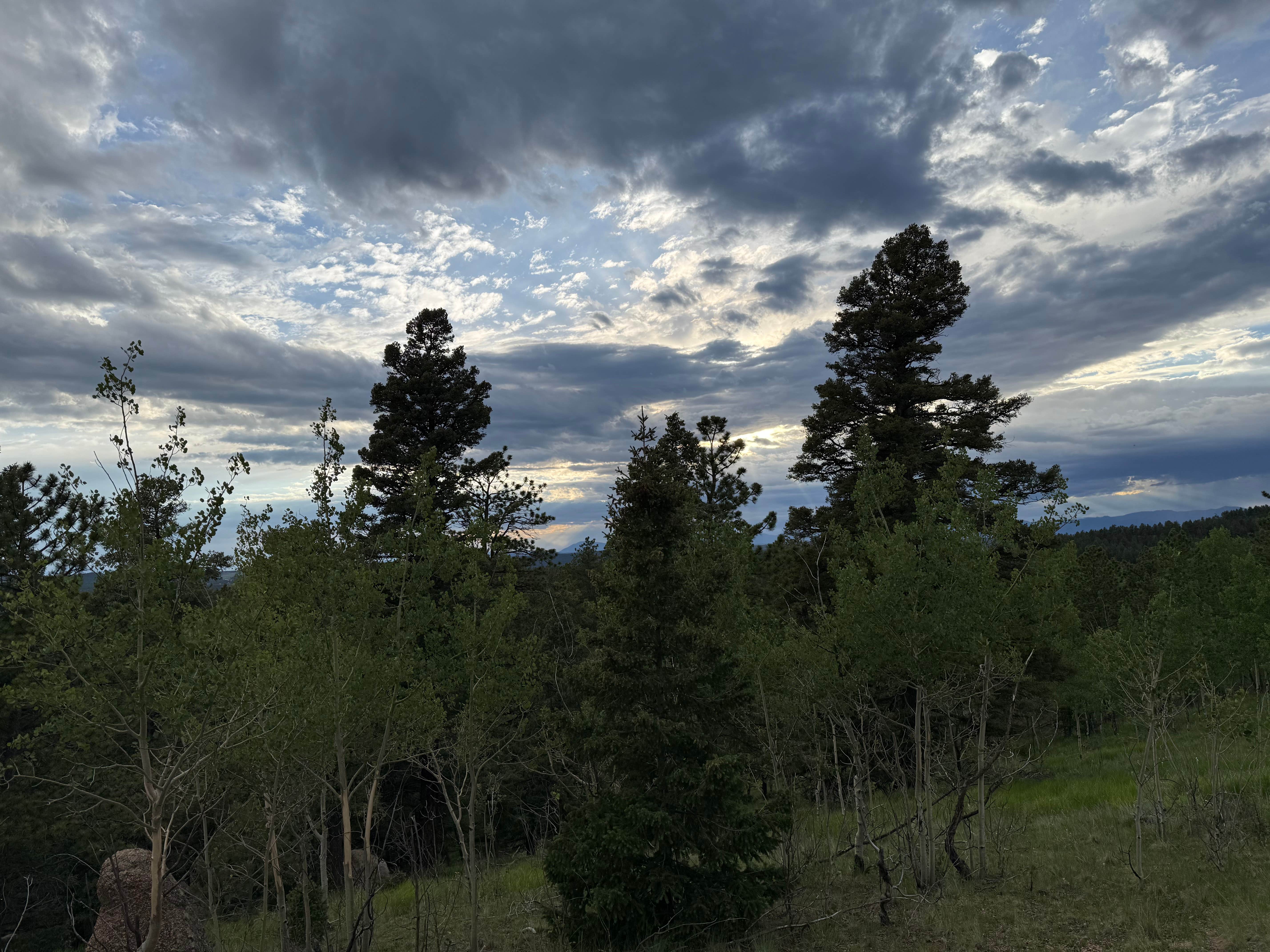 Camper-submitted photo at Rampart Range Dispersed Site near Manitou Springs, CO