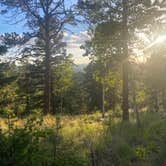 Review photo of Rampart Range Dispersed Site by Kat F., July 16, 2024