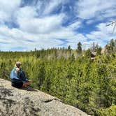 Review photo of Rampart Range Dispersed Site by Ashlee D., August 27, 2024