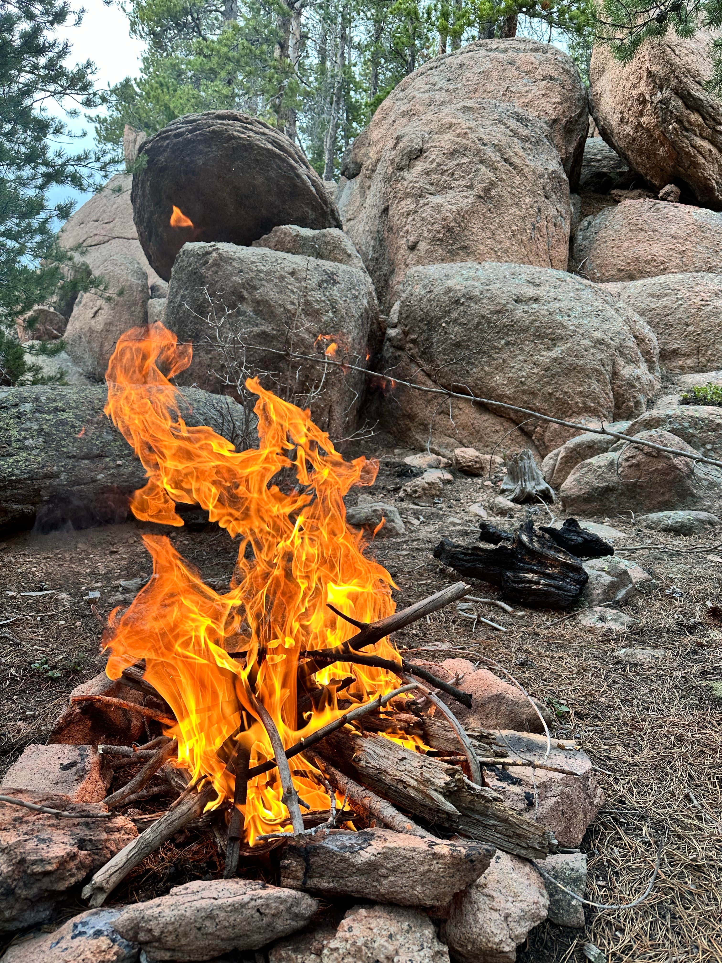 Camper-submitted photo at Rampart Range Dispersed Site near Manitou Springs, CO