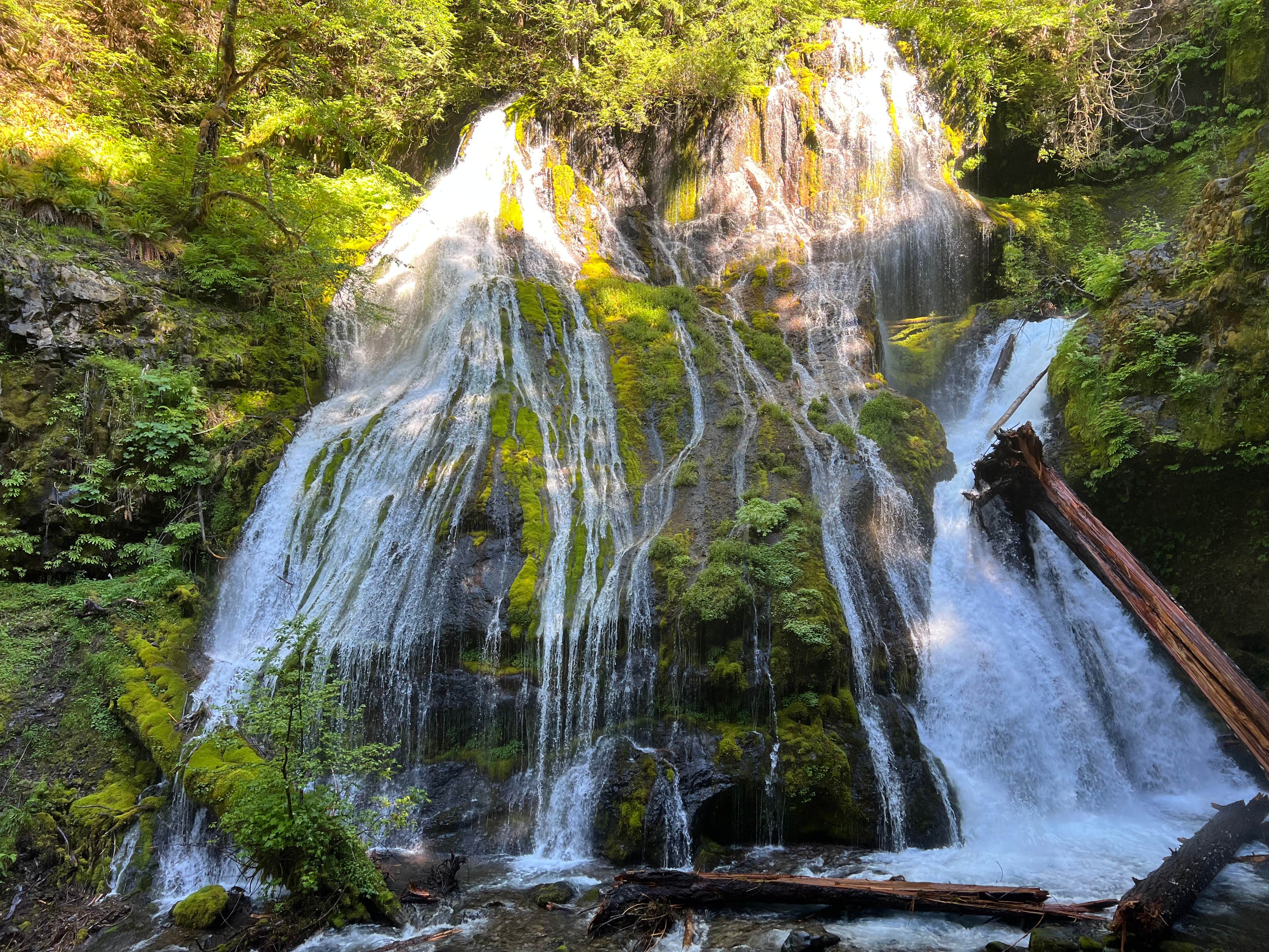 Camper-submitted photo at Dispersed Camping above Panther Creek Falls near White Salmon, WA