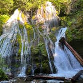 Review photo of Dispersed Camping above Panther Creek Falls by Bradley B., June 23, 2024