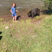 Review photo of Dispersed camping along Cliff Creek in Bridger-Teton National Forest by Laci H., June 22, 2024