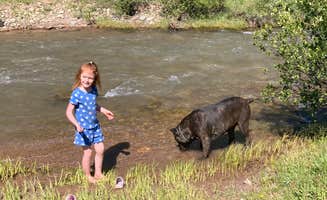Laci H.'s photo of camping with pets at Dispersed camping along Cliff Creek in Bridger-Teton National Forest near Thayne, WY