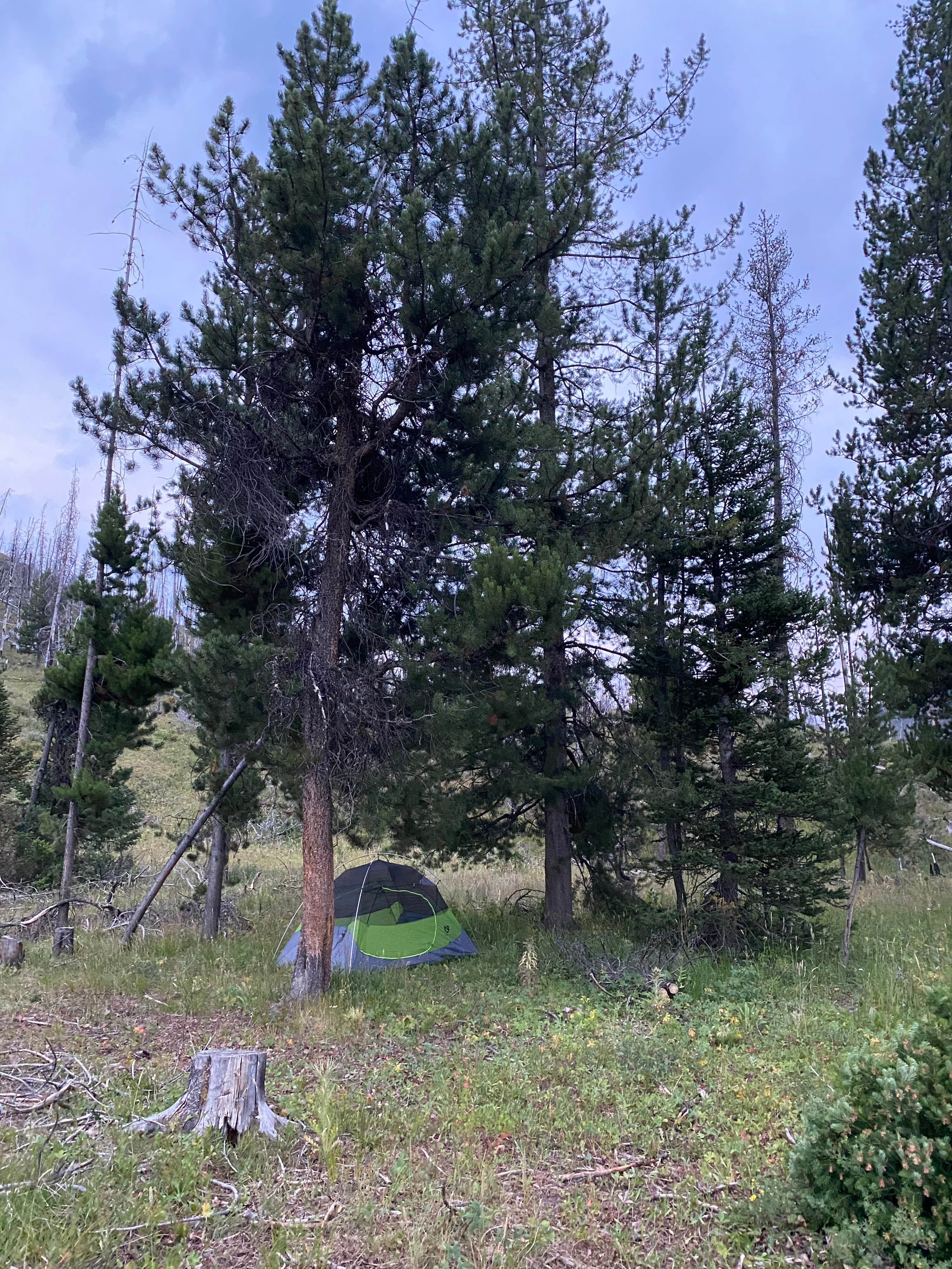 Camper-submitted photo at Dispersed camping along Cliff Creek in Bridger-Teton National Forest near Daniel, WY