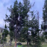 Review photo of Dispersed camping along Cliff Creek in Bridger-Teton National Forest by Zaq O., August 5, 2024