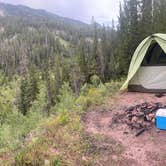 Review photo of Dispersed camping along Cliff Creek in Bridger-Teton National Forest by Name , July 30, 2026