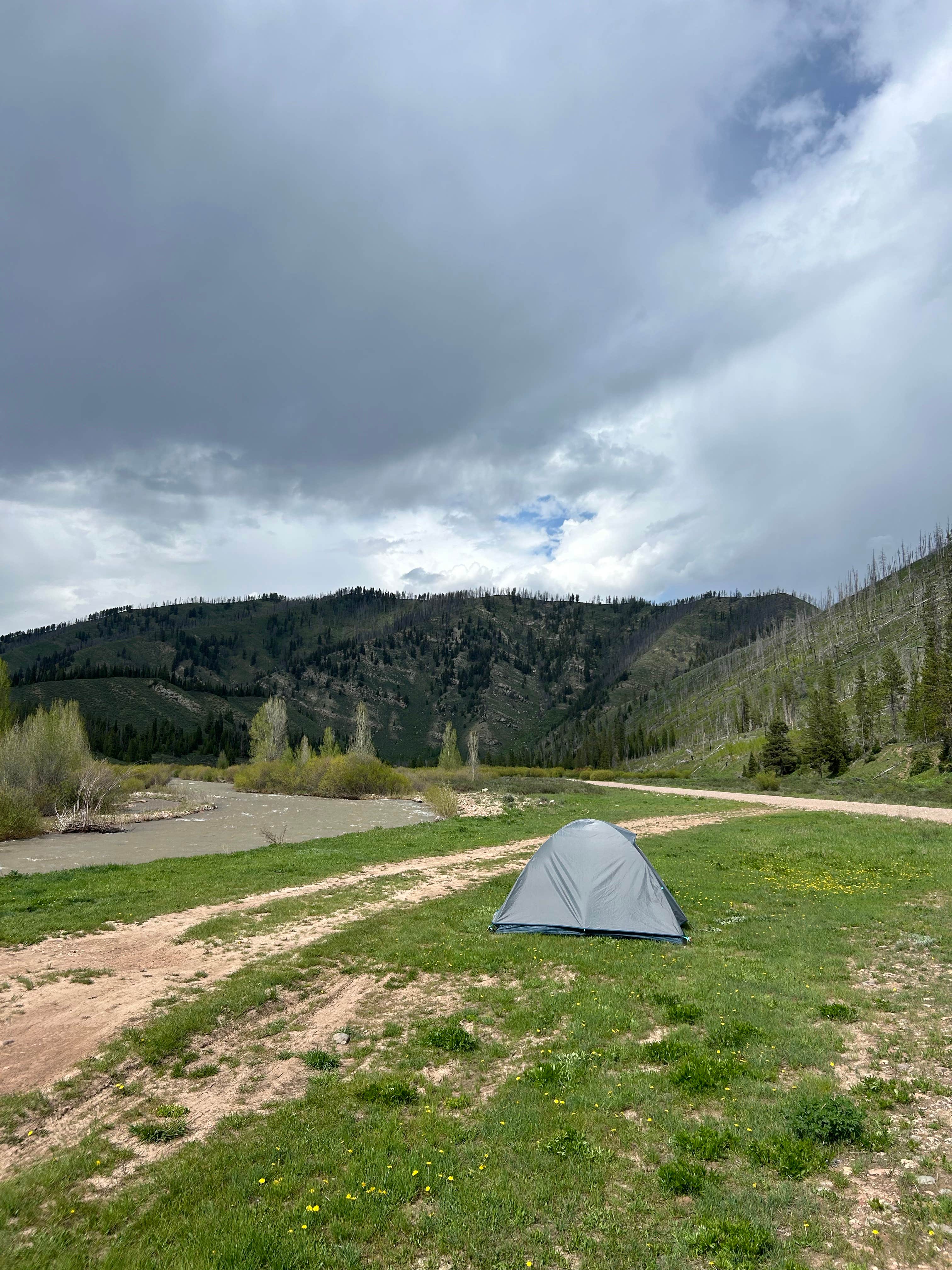 Quentin M.'s photo of a dispersed camping area at Dispersed camping along Cliff Creek in Bridger-Teton National Forest near Bridger-Teton National Forest