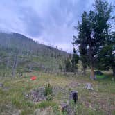 Review photo of Dispersed camping along Cliff Creek in Bridger-Teton National Forest by Zaq O., August 5, 2024