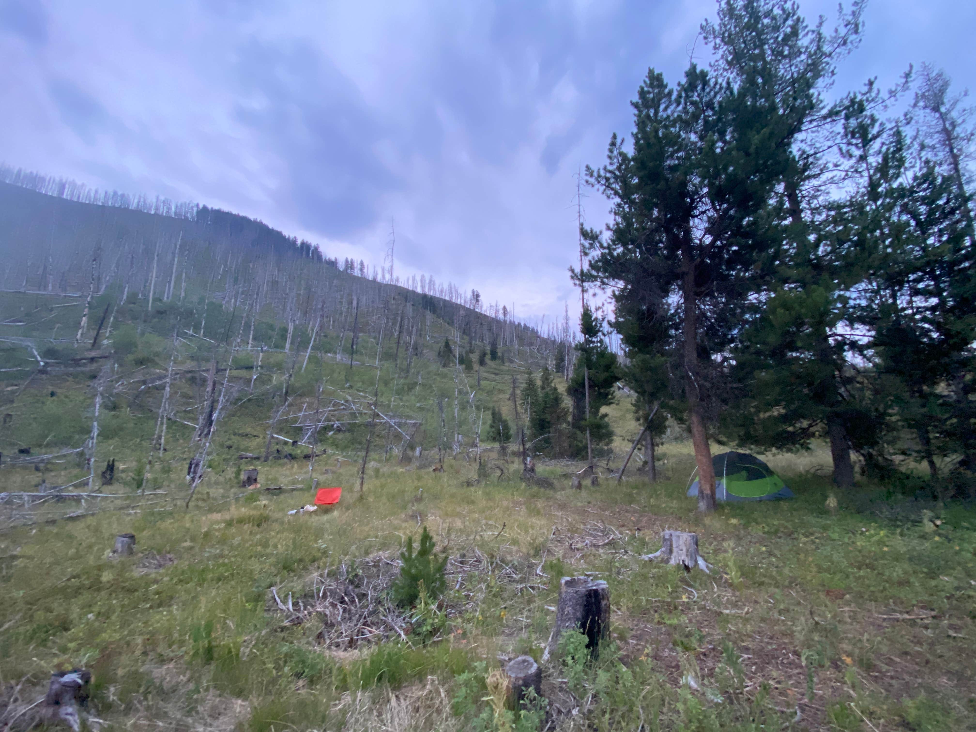 Camper submitted image from Dispersed camping along Cliff Creek in Bridger-Teton National Forest - 1