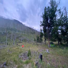 Dispersed camping along Cliff Creek in Bridger-Teton National Forest