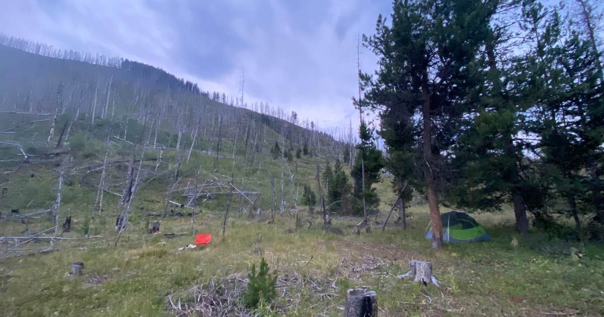 Dispersed camping along Cliff Creek in Bridger-Teton National Forest