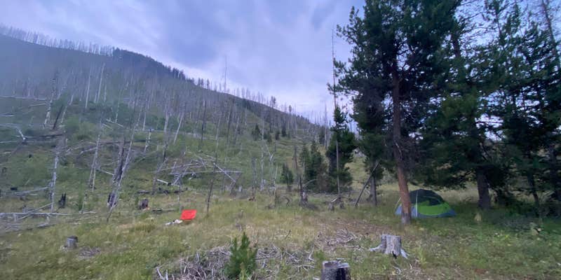 Camper submitted image from Dispersed camping along Cliff Creek in Bridger-Teton National Forest