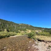 Review photo of Dispersed camping along Cliff Creek in Bridger-Teton National Forest by Elsa P., September 1, 2024